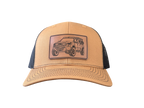 Toyota Tacoma 6-Panel